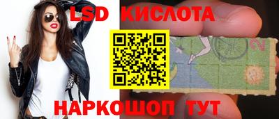 ПСИЛОЦИБИНОВЫЕ ГРИБЫ Кулебаки