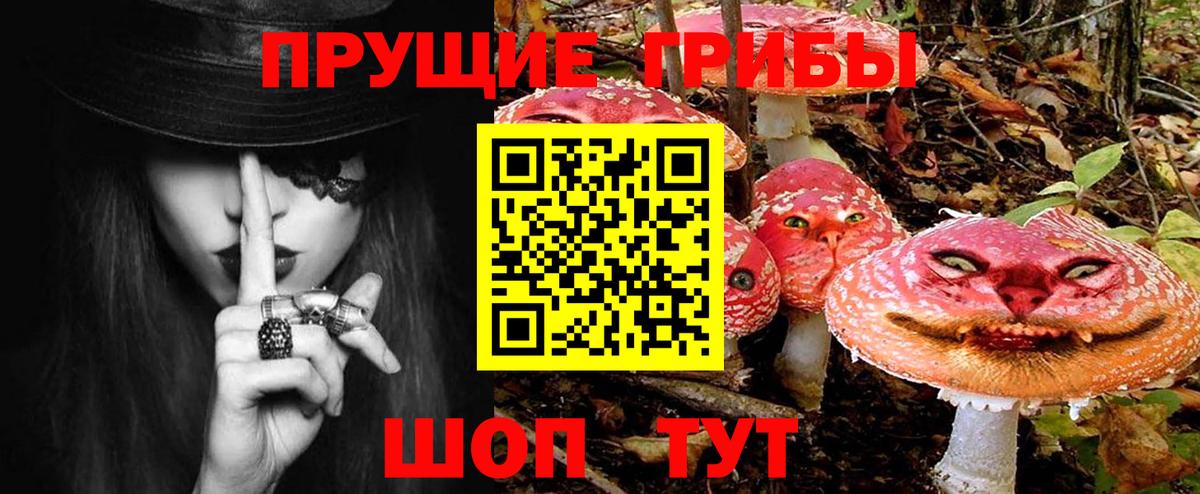 Галлюциногенные грибы Psilocybe Ростов-на-Дону
